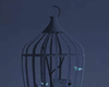 Birds Cage Poetic/animat