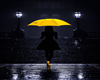 Art of Rain q