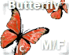 R|C Red Butterfly M/F