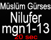 Muslum Gurses - Nilufer