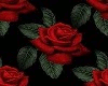 Red&Blk rose backgrounds