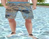 Baltic sea babe shorts