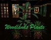 Woodlands Plants