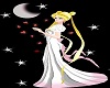 prinsess serenas dress