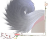 Puppytail Grey