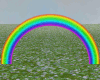 Dream Rainbow