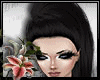 (LN)Sancia Black