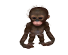 [HS] Baby Monkey