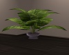 ~SL~ Khonsu plant v1