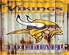  - MN Vikings 2