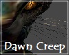Dawn Creep Whiskers