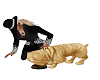 Shar Pei Dog