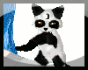 (C) Panda Moon Kitten