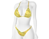 LC GA Holo Bikini Gold