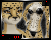M! Cheetah F Fur