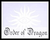 dragon throw pillows
