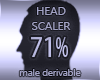 Head Scaler 71%