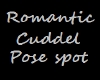 Romantic Cuddel Pose