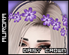A| Daisy Crown - Pastel