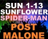 Post Malone - Sunflower