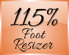 Foot Scaler 115% (F)