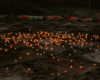 *Fall Floor Lights