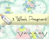 3 Weeks Pregnant (Y)