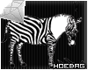 HB* Confused Zebra