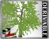 [DL]tree w bench derivab