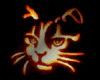 Glowing Cat Animated