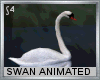 RJ*swan inlove