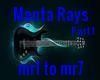 Manta Rays part 1