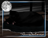 |AD| Sleeping Kitten