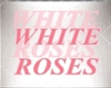 [CY] FALLING ROSES WHITE