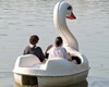 K! Swan Paddleboat