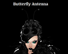 Butterfly Antennae