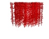 {LS} Red Vine 2