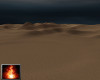 HF Tahari Desert Night