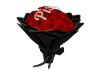 Rose sign - Pisces