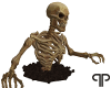 🤍P Skeleton animated