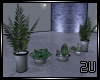 2u Indoor plants set