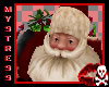 Santa Animated w/   
