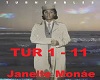 Janelle Monae-Turntables