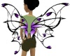 Celtic Butterfly Wings
