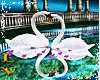 Luxury Wedding Swan