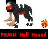 PKMN Hell Hound