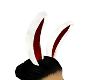 red  white  bunny  eard
