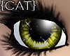 {CAT}Fragile-Yellow Eyes