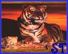  !ST! Tiger Picture