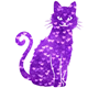 cool purple cat!